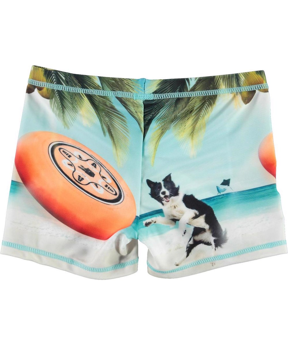 Norton Placed - Frisbee - Short UV swim trunks with dog and Frisbee