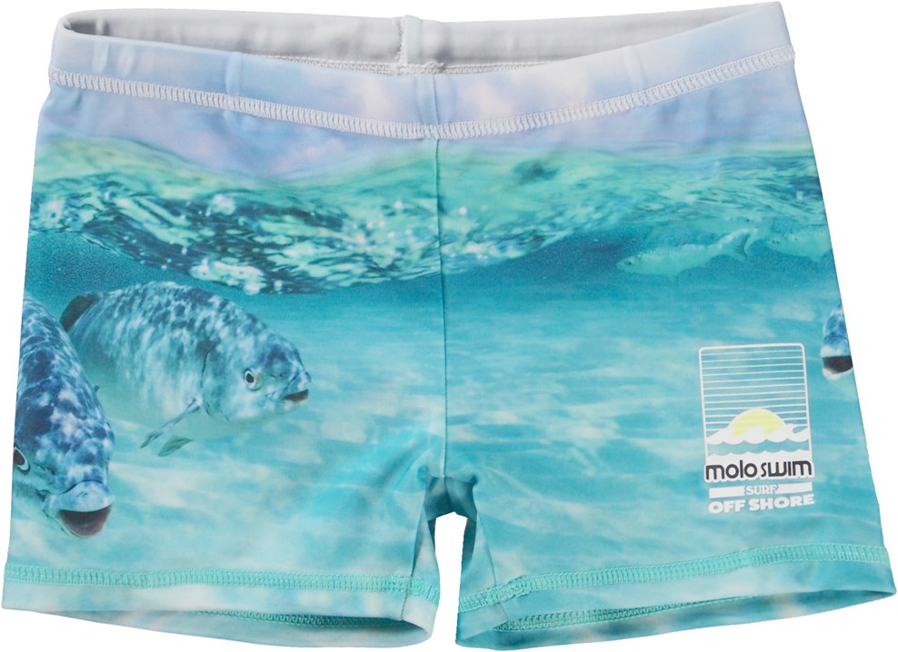 Norton Placed Funny Fish