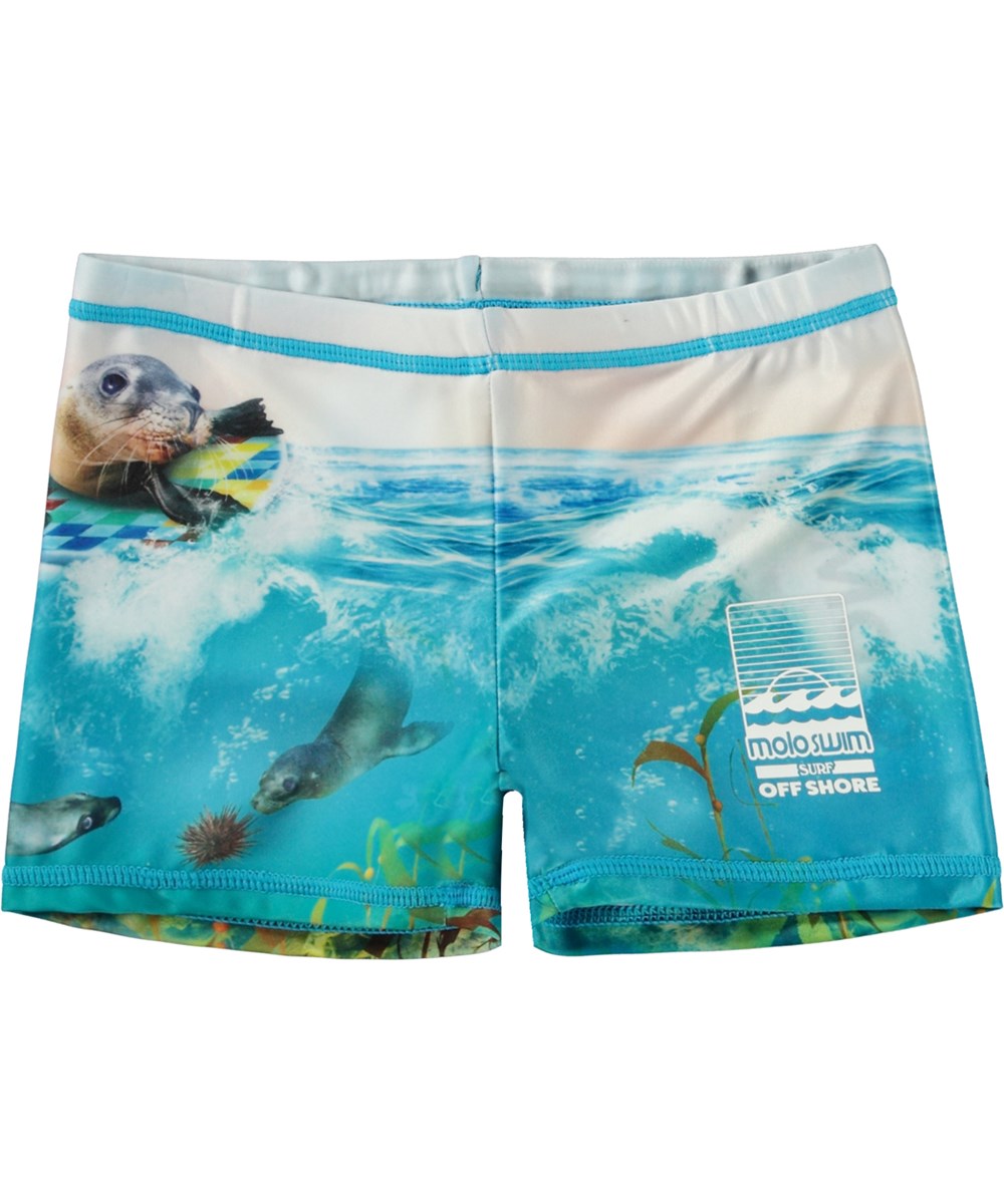 Norton Placed - Sealion - Short, blue swim shorts with with placement sea lion print