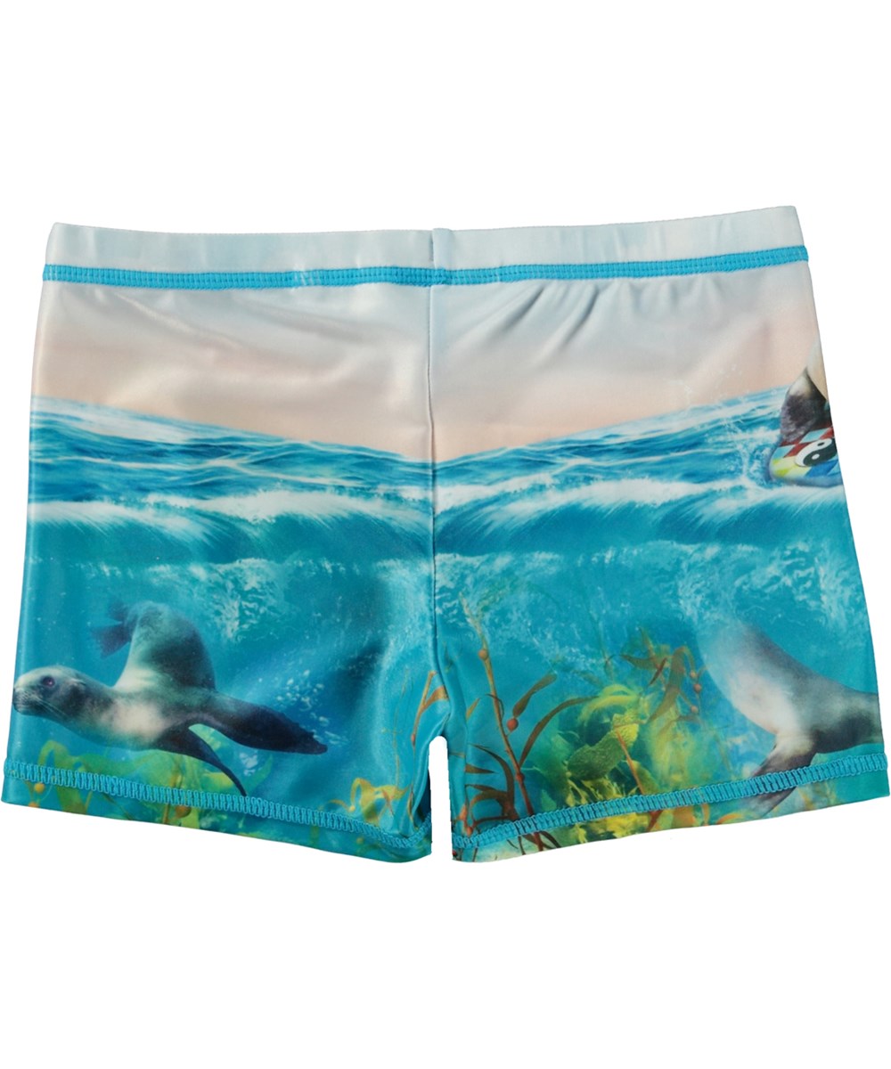 Norton Placed - Sealion - Short, blue swim shorts with with placement sea lion print