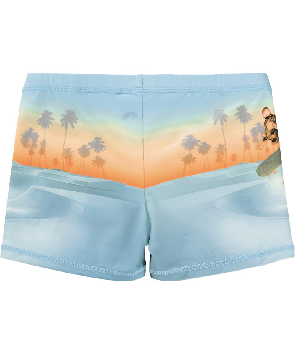 Norton Placed - Skate Fun - Blue and orange, sporty swim shorts with skate print for children made from recycled polyester with UV protection 50+.