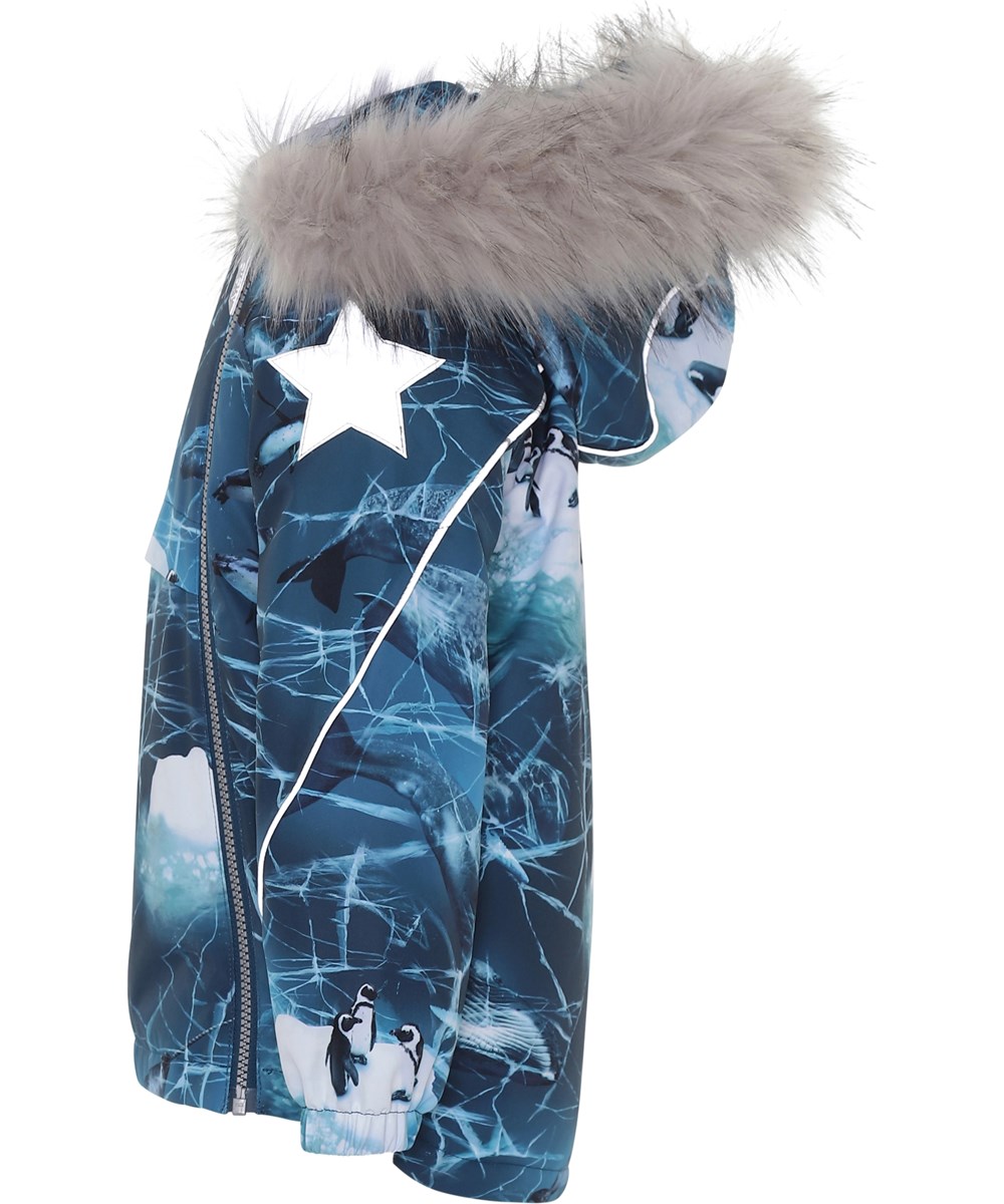 Hopla Fur - Frozen Ocean - Blå vinterjacka med tryck.